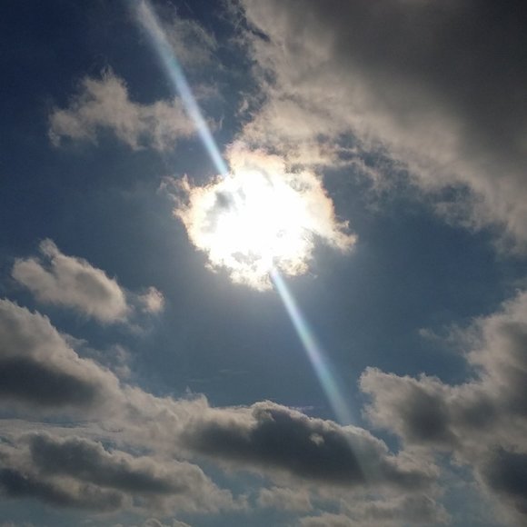 Offering Bundle Discounts! - Picture 8 of 12